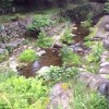 【新潟遠征】「滝沢公園（越後湯沢）」天然のクーラーと美しい清流の眺めが楽しめる場所